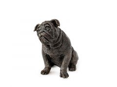 Hundeurne Bulldogge